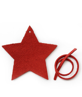 Červená vianočná ozdoba hviezda 619-1216-31