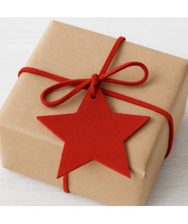 Červená vianočná ozdoba hviezda 619-1216-31