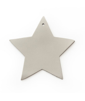 Svetlosivá vianočná ozdoba hviezda 619-1216-20