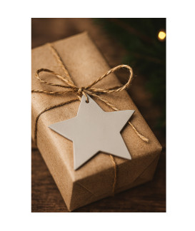 Svetlosivá vianočná ozdoba hviezda 619-1216-20