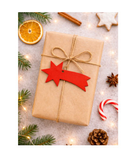 Červená vianočná ozdoba kométa 619-1214-31