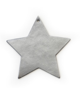 412-1310-29 NAPPA COSMO